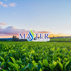 Master AG
