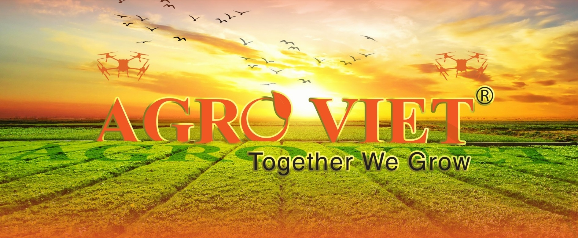 Banner Advertisement