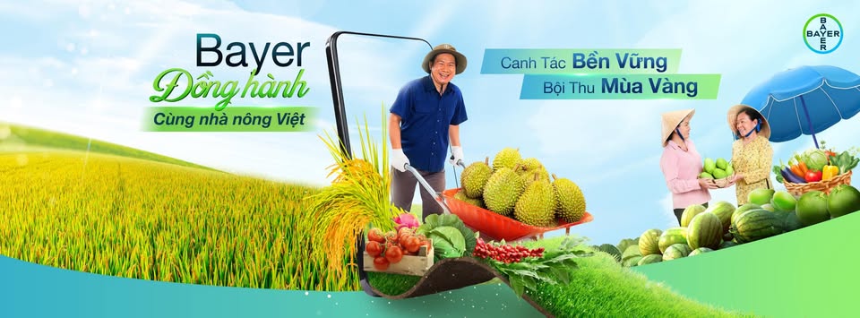 Banner Advertisement