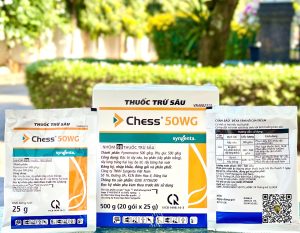 SGT Chess 50WG – 25gr x (4h x 20 gói)