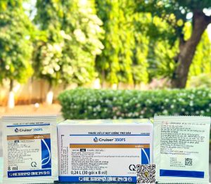 SGT Cruiser 350FS – 8ml gói (10h x 30 gói)