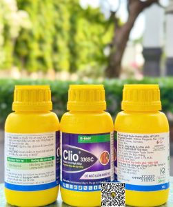 Clio 336SC – 50ml x 100 chai