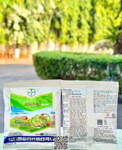 Aliette 800WG – 100gr x 100 gói