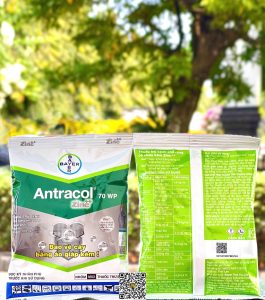 Antracol 70WP – 100gr x 100 gói