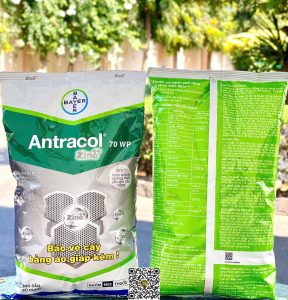 Antracol 70WP – 1kg x 12 gói