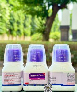 FMC Prevathon 200SC – 100ml x 40 chai