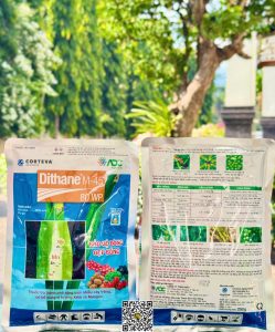 Dithane M45 – 250gr (Vàng)