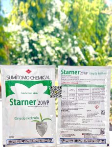 Starner 20WP – 100gr x 100 goi