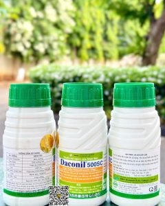 Daconil 500SC – 240ml x 40 chai