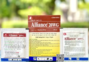 Alliance 20WG – 1.5gr (4h x 600 gói)
