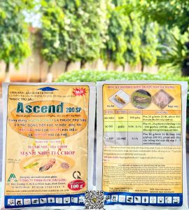 Ascend 200SP – 100 gr (100 goi)