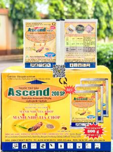 Ascend 200SP – 8gr (12h x 100 gói)