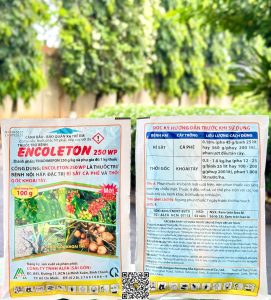 Encoleton 250WP – 100gr x 100 gói