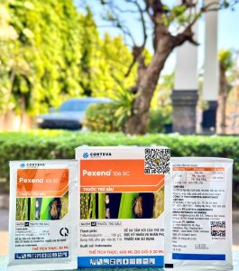 CTV Pexena 106SC – 20ml (6h x 20 gói) (HN)
