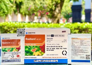 CTV Radiant 60SC – 15ml x (4h x 50 gói)