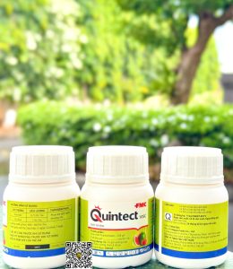 Quintec 10SC – 100ml x 20 Chai