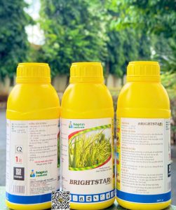 Brightstar 25SC – 1 lít x 12 chai