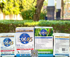 COC 85 – 20gr (40 hộp)