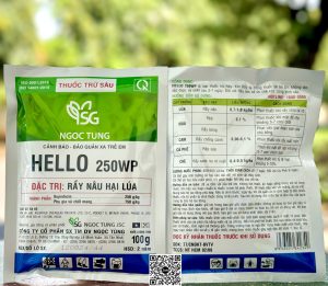 Hello 250WP – 100gr (4h x 25 gói)