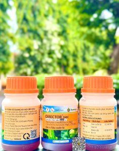 Director 70EC – 100ml