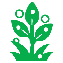 Thuốc Trừ Bệnh