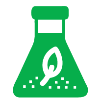 Xử Lý Hạt Giống