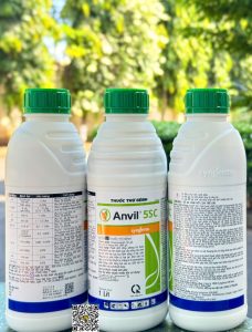 Anvil 5SC – 1 lít x 12 chai