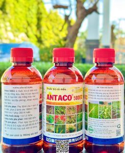 Antaco 500EC – 450ml