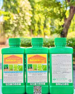 Antaco Gold 500EC – 450ml (V)