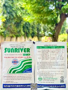Sunriver 10WP – 100gr