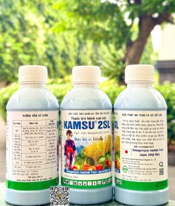 Kamsu 2SL – 450ml x 30 chai