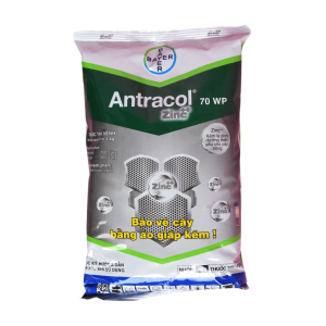 Antracol 70 WP – Gói 1kg