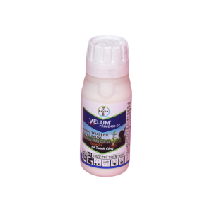 Velum prime 400SC – Chai 100ml
