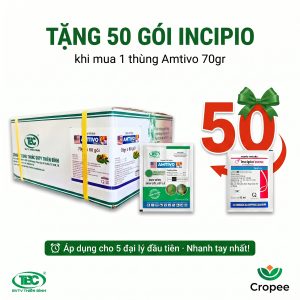 Amtivo 75WG – 70gr – (Thùng 80 gói)