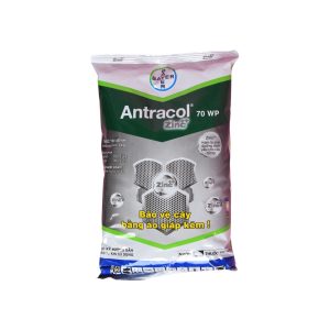 Antracol 70WP – 1kg – (Thùng 12 gói)