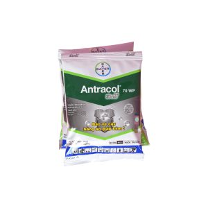 Antracol 70WP – 100gr – (Thùng 100 gói)