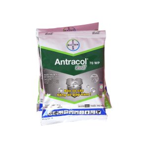 Antracol 70WP – 100gr – (Thùng 100 gói)