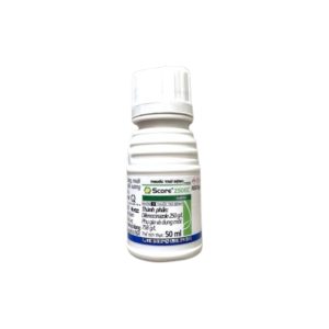 Score 250EC – 50ml – (Thùng 100 chai)