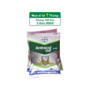 Antracol 70WP – 100gr – (Thùng 100 gói)