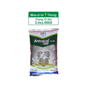 Antracol 70WP – 1kg – (Thùng 12 gói)