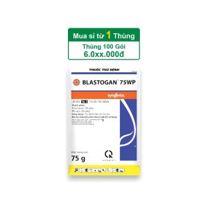 Blastogan 75WP – 75gr – (Thùng 100 gói)