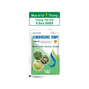 Limousine 3WP – 100gr – (Thùng 100 gói)