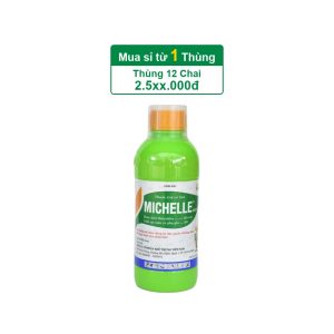 Michelle 62EC – 1L – (Thùng 12 chai)