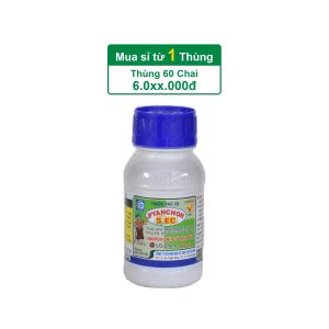 Pyanchor 5EC – 240ml – (Thùng 60 chai)